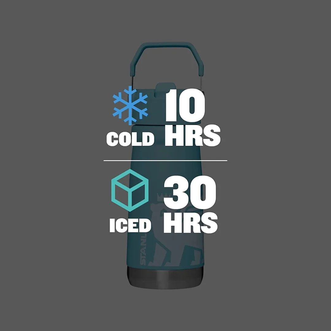 STANLEY FLIP STRAW CLASSIC 17 OZ - Image 7