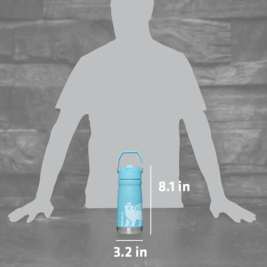 STANLEY FLIP STRAW CLASSIC 17 OZ - Image 6