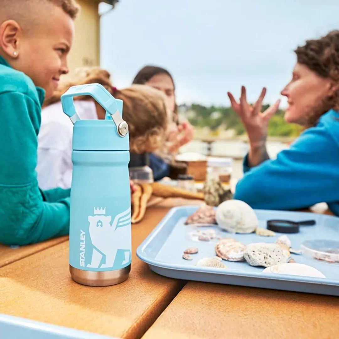 STANLEY FLIP STRAW CLASSIC 17 OZ - Image 5